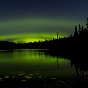 Preview wallpaper pond, trees, night, northern lights, dark