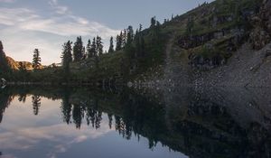 Preview wallpaper pond, trees, reflection, stones, nature