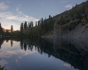 Preview wallpaper pond, trees, reflection, stones, nature