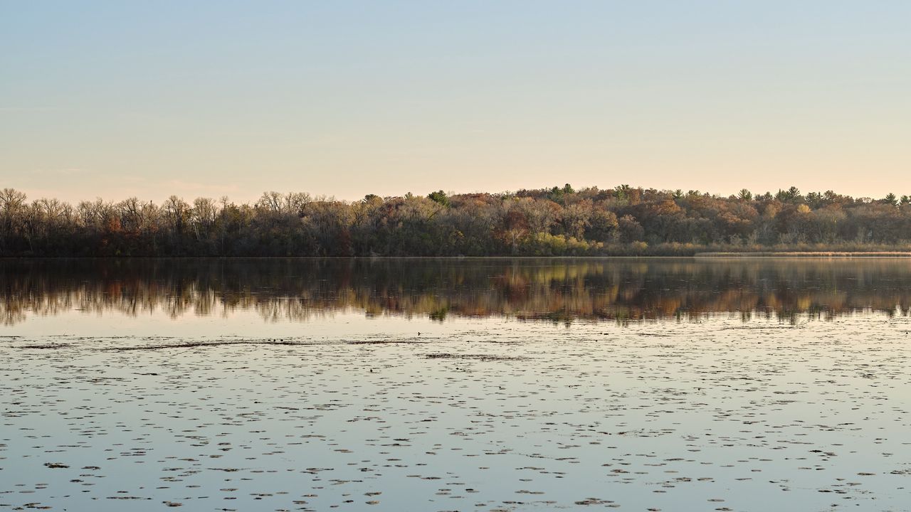 Wallpaper pond, trees, reflection, landscape