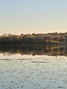 Preview wallpaper pond, trees, reflection, landscape