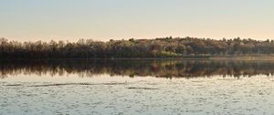 Preview wallpaper pond, trees, reflection, landscape