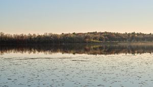 Preview wallpaper pond, trees, reflection, landscape