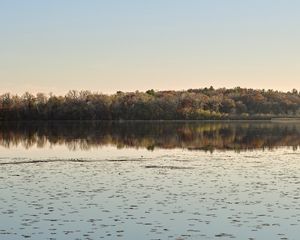 Preview wallpaper pond, trees, reflection, landscape