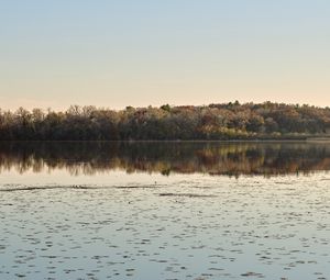 Preview wallpaper pond, trees, reflection, landscape