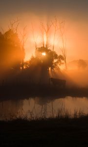 Preview wallpaper pond, trees, silhouettes, fog, sunrise