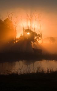 Preview wallpaper pond, trees, silhouettes, fog, sunrise