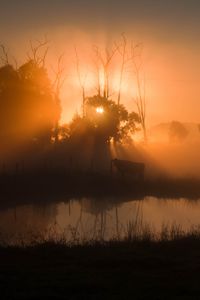 Preview wallpaper pond, trees, silhouettes, fog, sunrise