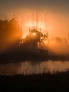 Preview wallpaper pond, trees, silhouettes, fog, sunrise