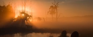 Preview wallpaper pond, trees, silhouettes, fog, sunrise