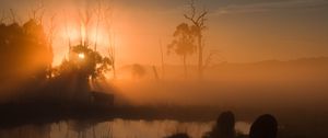 Preview wallpaper pond, trees, silhouettes, fog, sunrise