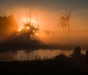 Preview wallpaper pond, trees, silhouettes, fog, sunrise