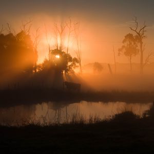 Preview wallpaper pond, trees, silhouettes, fog, sunrise