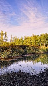 Preview wallpaper pond, trees, sky, nature