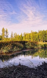 Preview wallpaper pond, trees, sky, nature