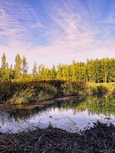 Preview wallpaper pond, trees, sky, nature