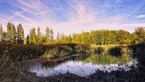 Preview wallpaper pond, trees, sky, nature