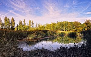 Preview wallpaper pond, trees, sky, nature