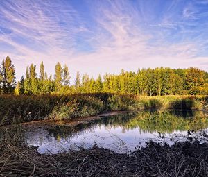 Preview wallpaper pond, trees, sky, nature