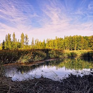 Preview wallpaper pond, trees, sky, nature