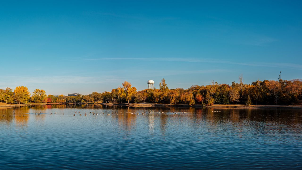 Wallpaper pond, trees, tower, sky