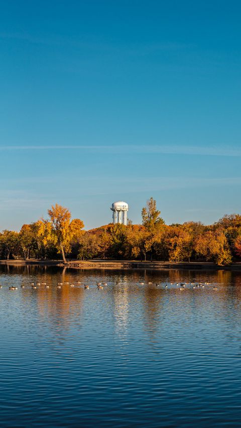 480x854 Wallpaper pond, trees, tower, sky