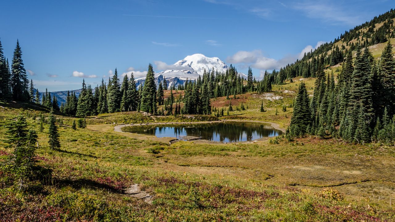 Wallpaper pond, trees, valley, grass, mountains, snow