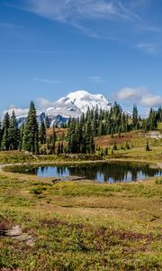 Preview wallpaper pond, trees, valley, grass, mountains, snow