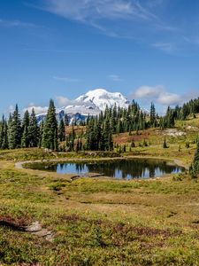 Preview wallpaper pond, trees, valley, grass, mountains, snow