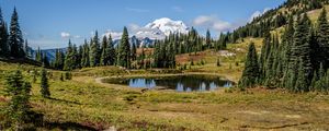 Preview wallpaper pond, trees, valley, grass, mountains, snow