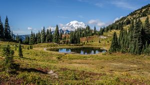 Preview wallpaper pond, trees, valley, grass, mountains, snow