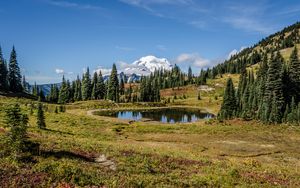 Preview wallpaper pond, trees, valley, grass, mountains, snow