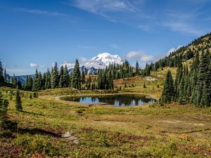 Preview wallpaper pond, trees, valley, grass, mountains, snow