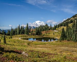 Preview wallpaper pond, trees, valley, grass, mountains, snow