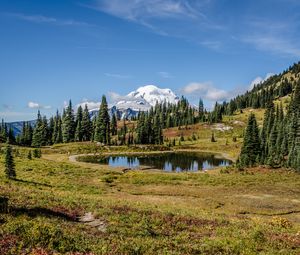 Preview wallpaper pond, trees, valley, grass, mountains, snow