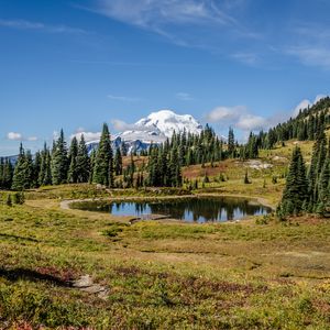 Preview wallpaper pond, trees, valley, grass, mountains, snow