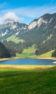 Preview wallpaper pond, valley, forest, mountains, landscape, nature