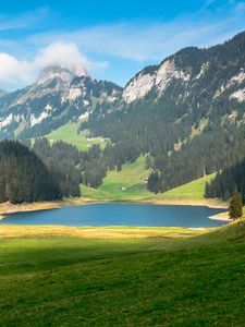 Preview wallpaper pond, valley, forest, mountains, landscape, nature