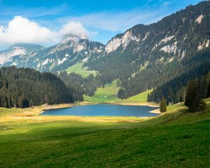 Preview wallpaper pond, valley, forest, mountains, landscape, nature