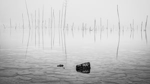 Preview wallpaper pond, water, branches, stone, black and white