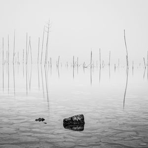 Preview wallpaper pond, water, branches, stone, black and white