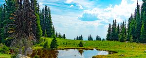 Preview wallpaper pond, water, grass, trees, nature