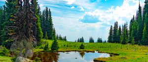 Preview wallpaper pond, water, grass, trees, nature