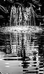 Preview wallpaper pond, water, nature, black and white