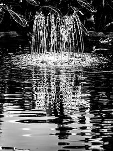 Preview wallpaper pond, water, nature, black and white