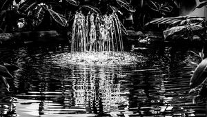 Preview wallpaper pond, water, nature, black and white