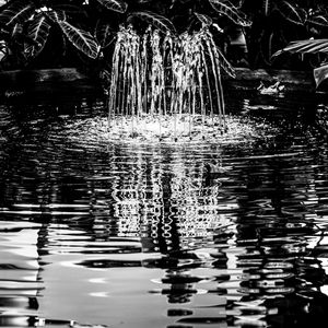 Preview wallpaper pond, water, nature, black and white