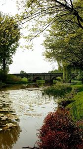 Preview wallpaper pond, water-lilies, trees, bridge, coast, park