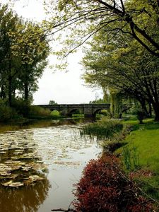 Preview wallpaper pond, water-lilies, trees, bridge, coast, park