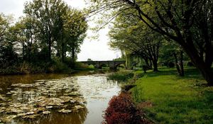 Preview wallpaper pond, water-lilies, trees, bridge, coast, park